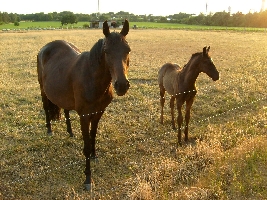 They looked so cute and I had to take a picture of them!